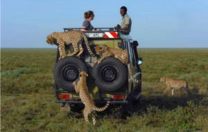 5 day safari tanzania