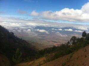 mkomazi national park